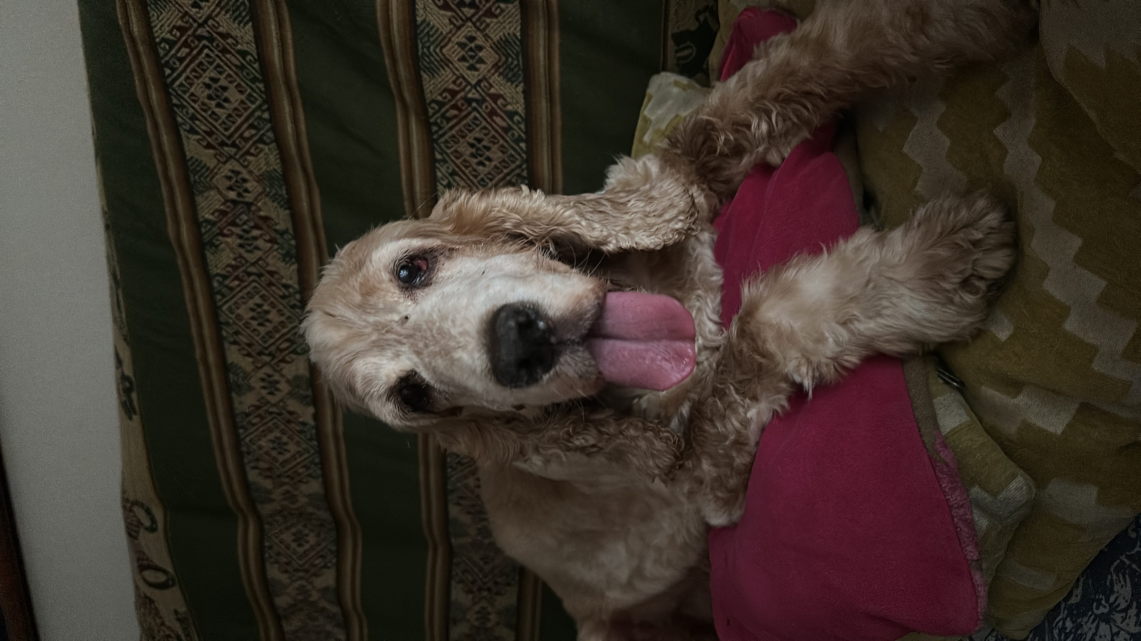 Ciro